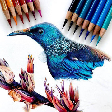 Colored Pencil Drawing Ideas for Advanced Artists - TTpen