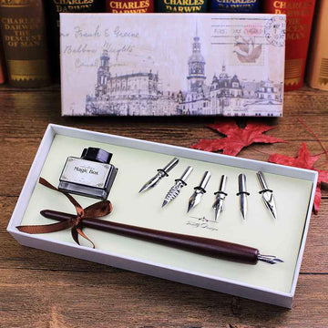 Ensemble de 6 plumes d'encre pour stylo plume de calligraphie en bois