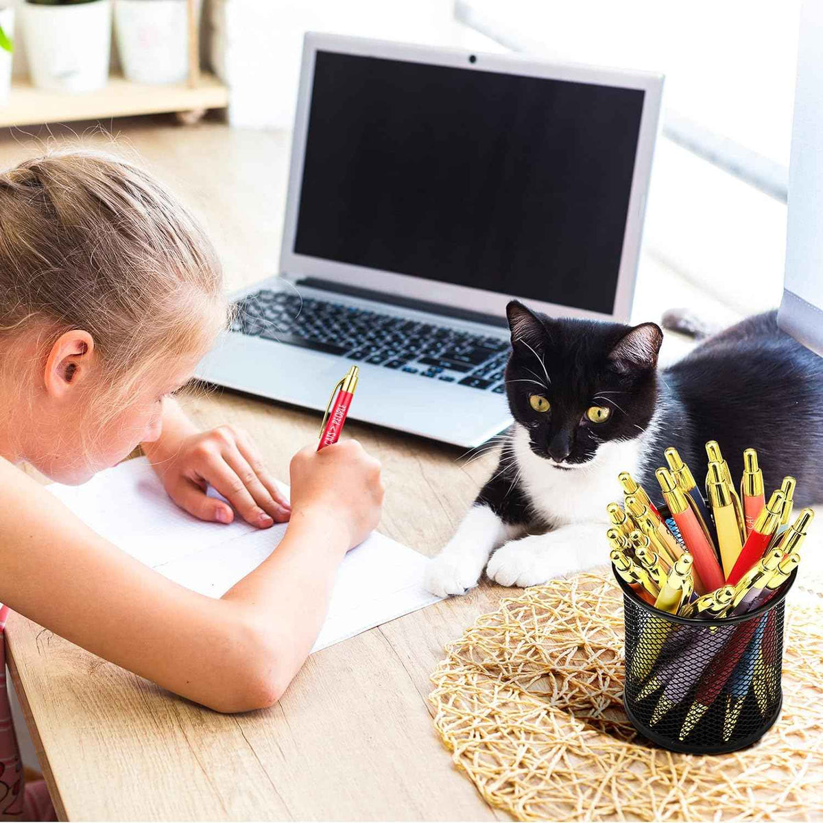 10pcs Cat Lovers Ballpoint Pen Set
