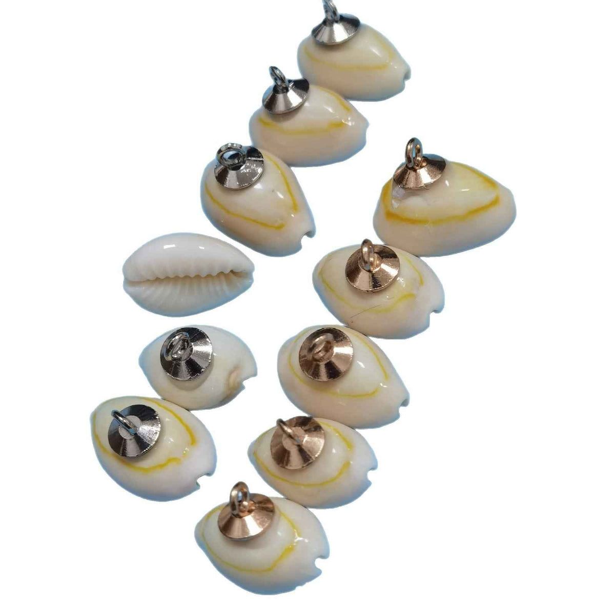 16x12mm Spiral-Shaped Conch Shell Shank Buttons for Craft 100pcs