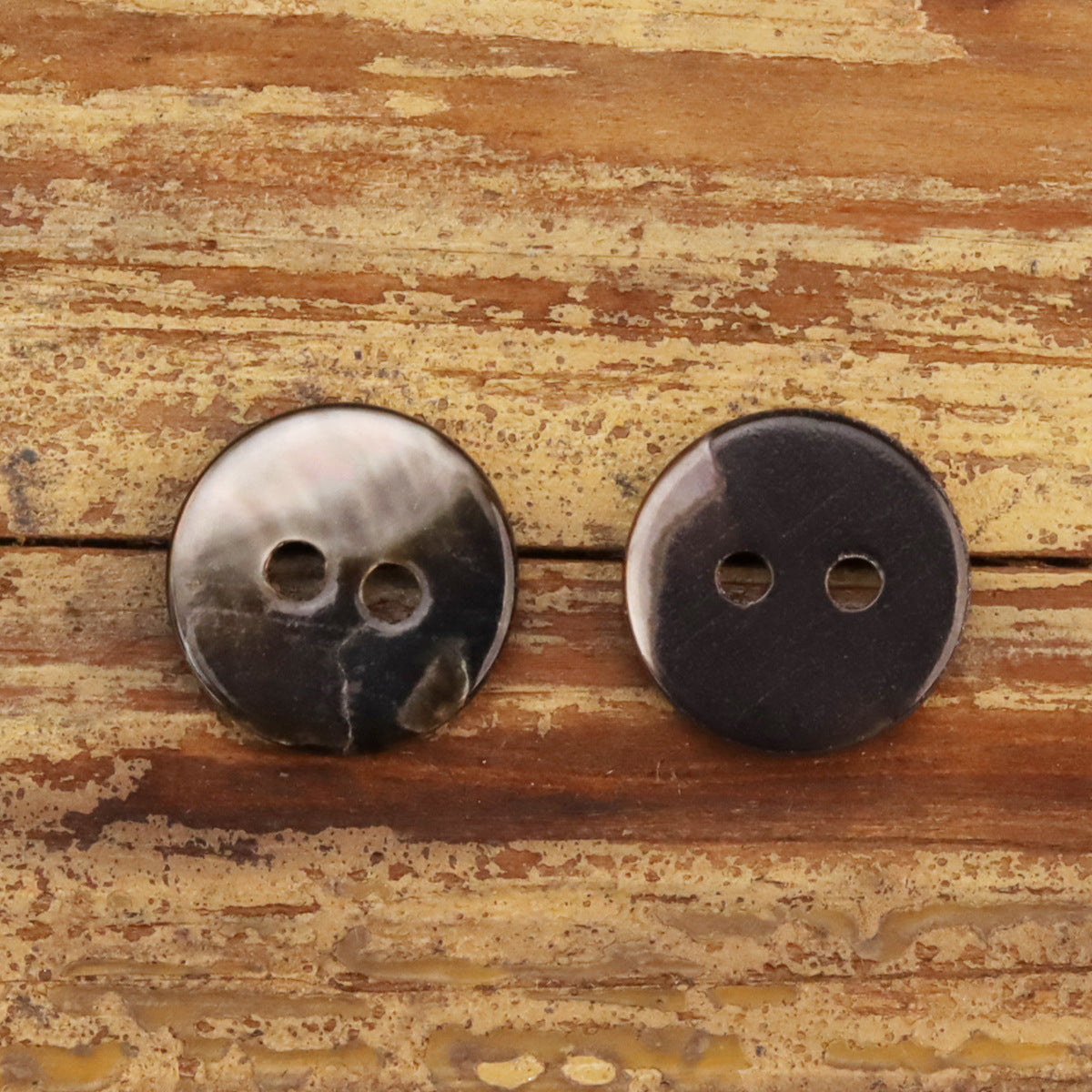 18L Black Silk Shirt Natural Shell Buttons Flying Star Fish-Eye 12 Pack