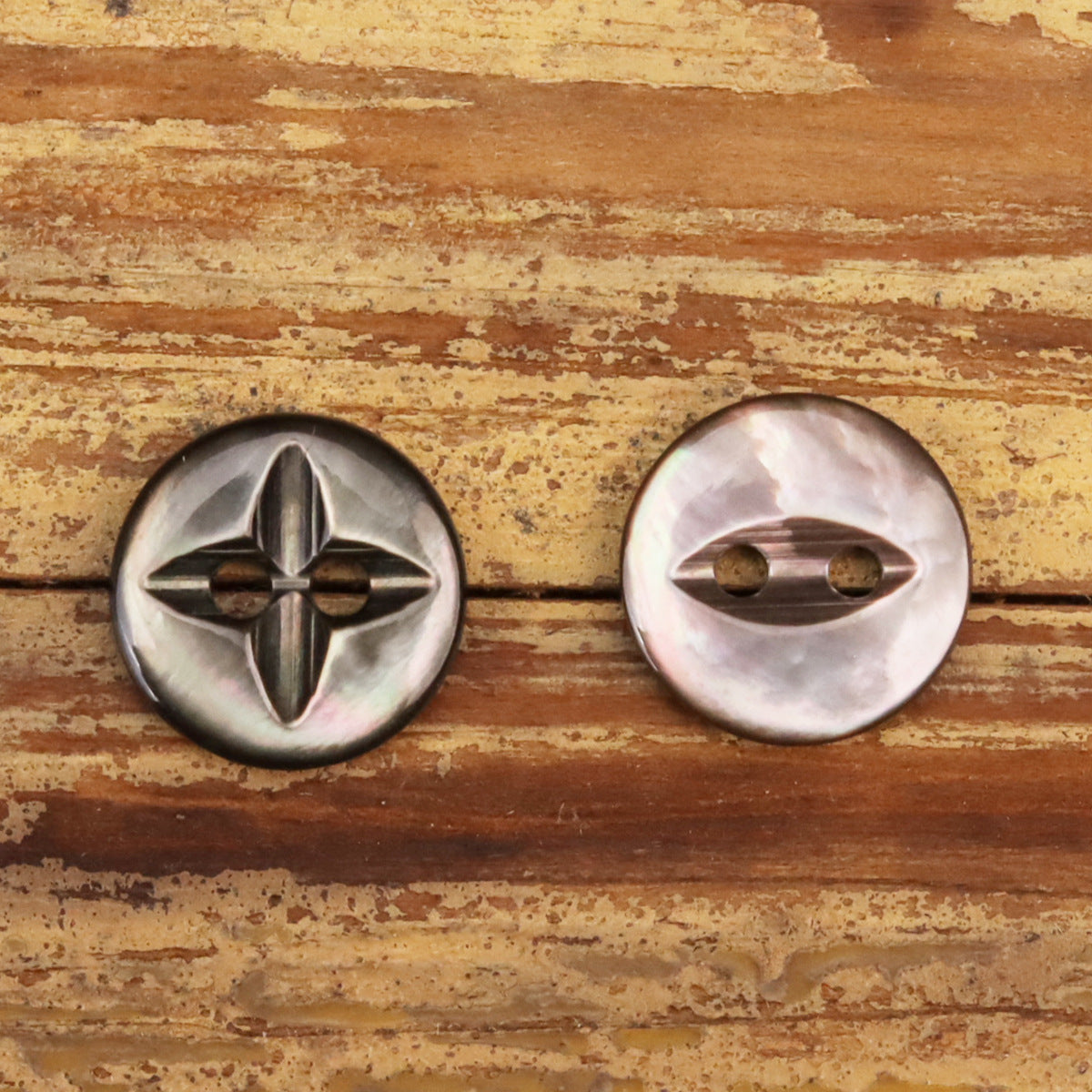 18L Black Silk Shirt Natural Shell Buttons Flying Star Fish-Eye 12 Pack