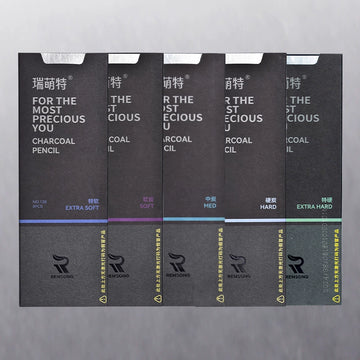 REMSONG Charcoal Pencils for Artists Drawing 8 Pieces 5 Full Pack