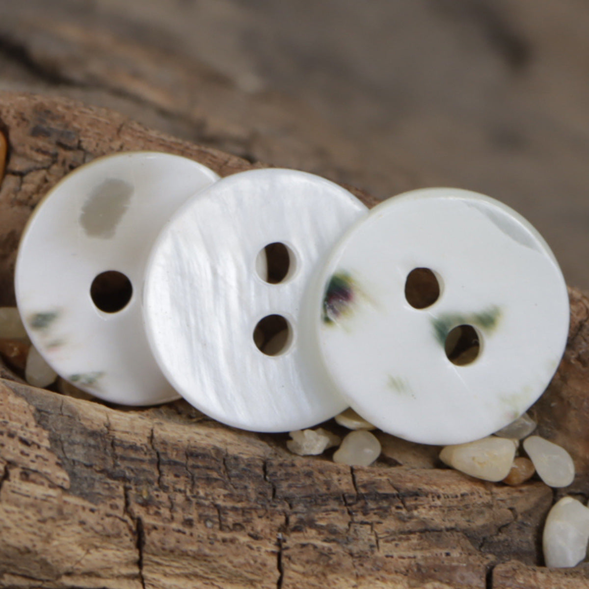 11.5mm Two-Hole Natural Fish-Eye Shell Buttons 10pcs