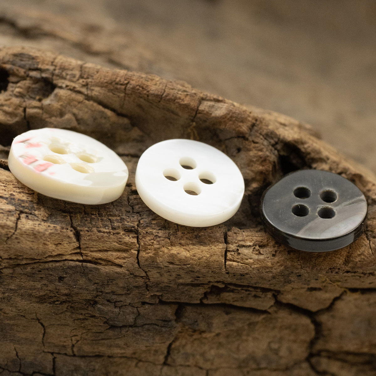11.5mm Wide-Edged Off-White Iridescent Black Shell Buttons 6pcs