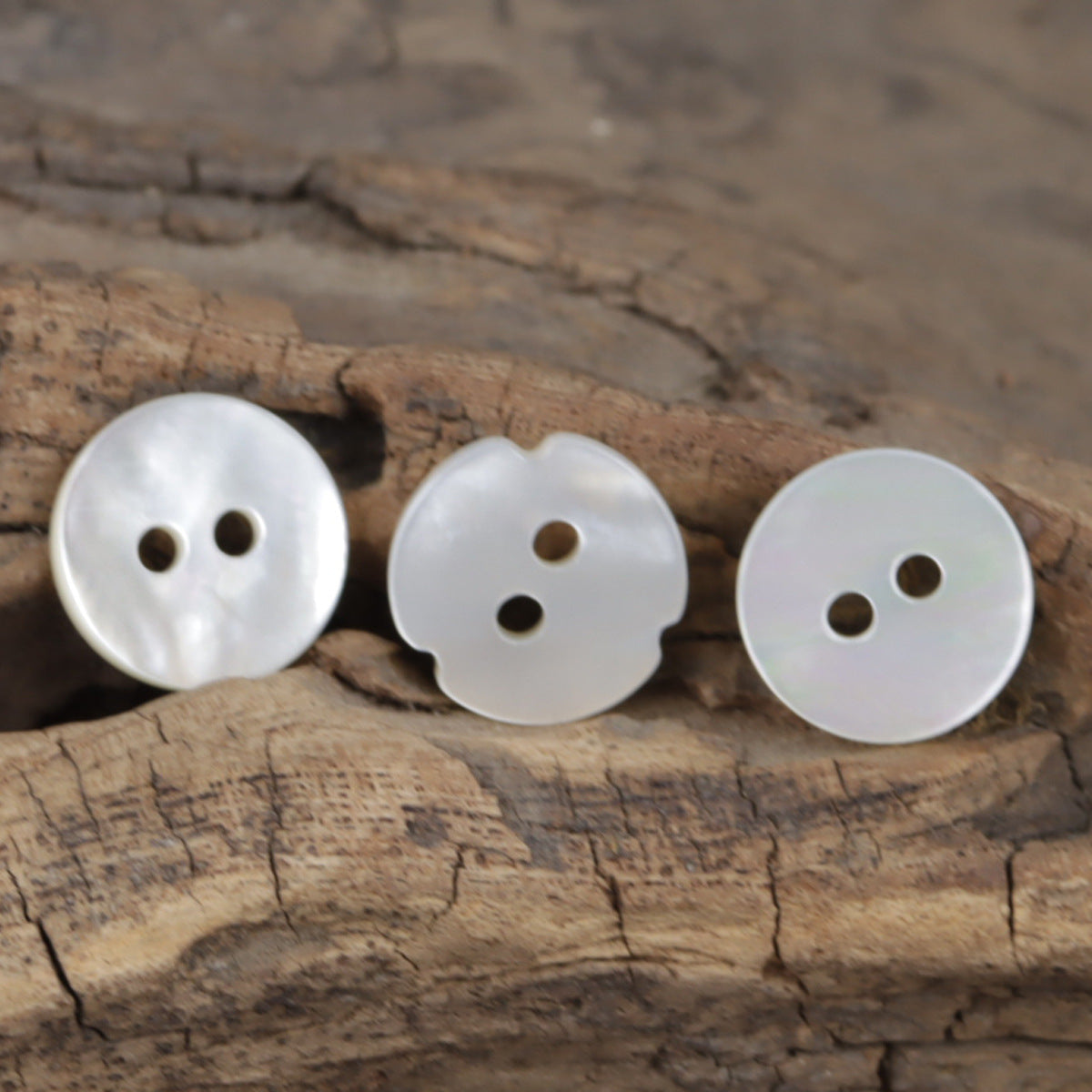 Natural White Maple Leaf-Shaped Spiral Two-Hole Shell Buttons 10PCS