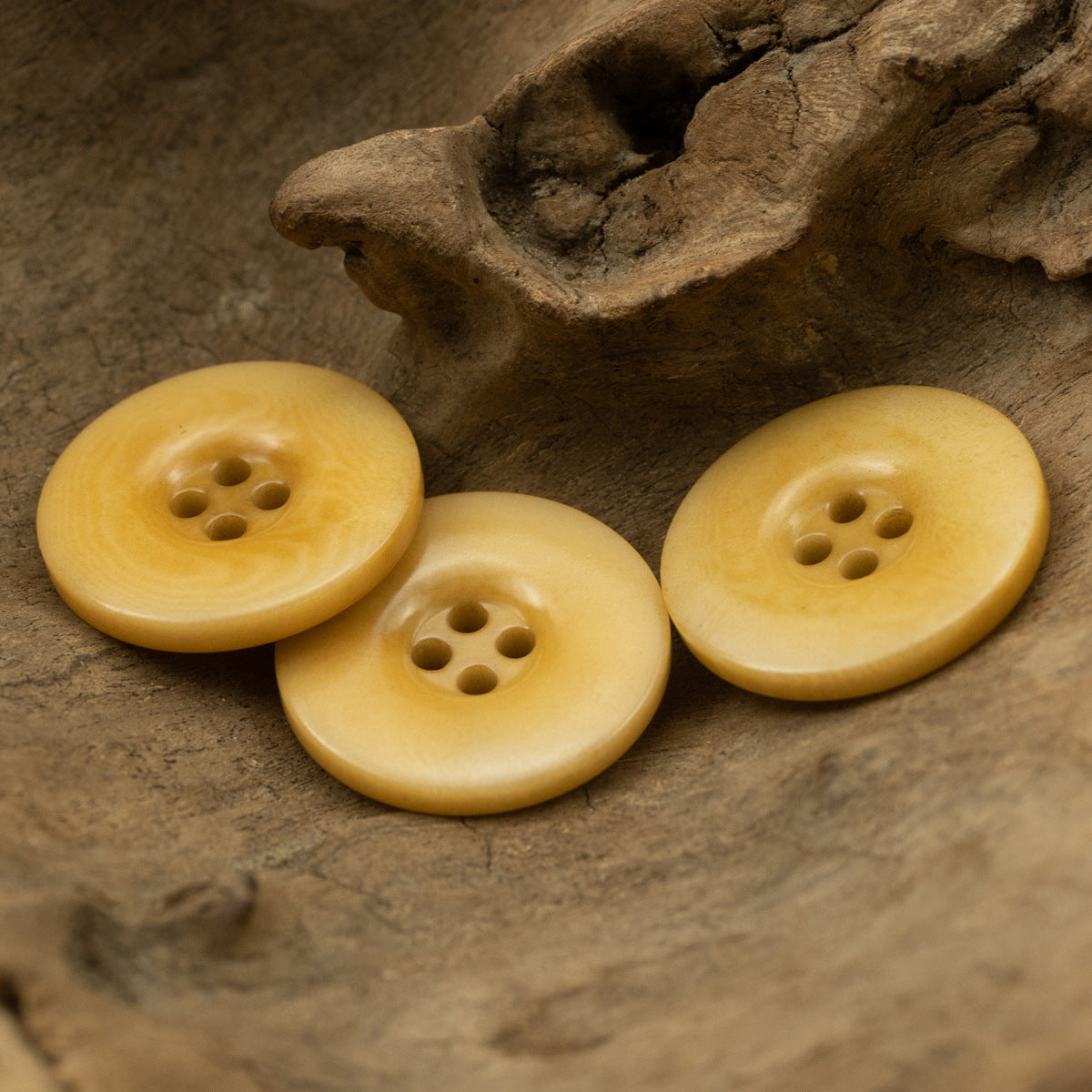 Wide-Brim Yellow Tagut Nut Buttons for Linen Cotton Suit 10pcs