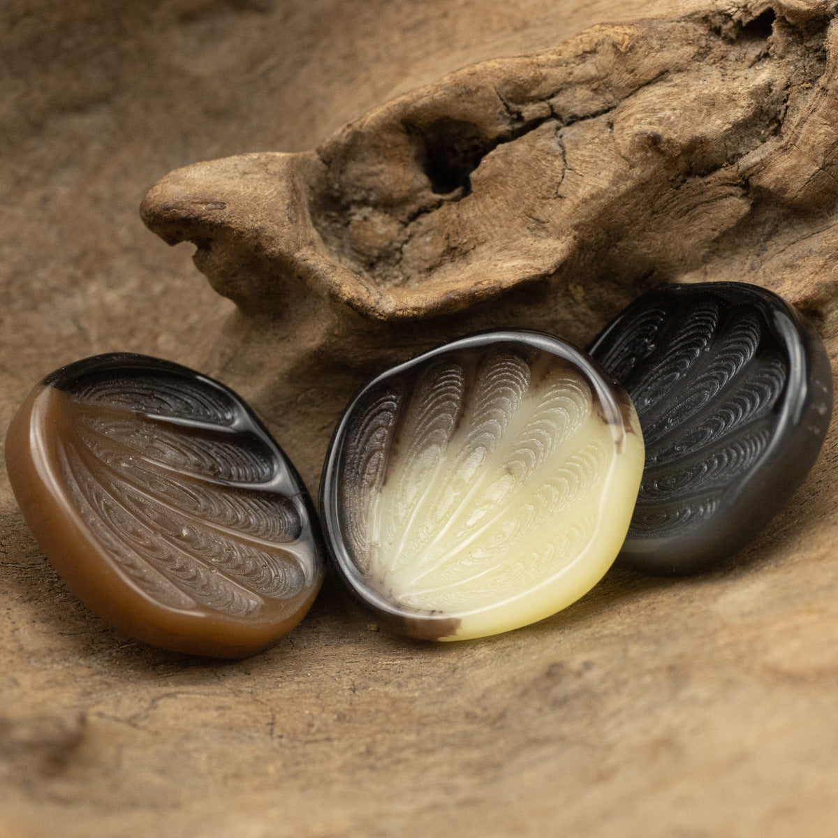 21-34mm Fan-Shaped Resin Shank Buttons with Feather Texture 10pcs