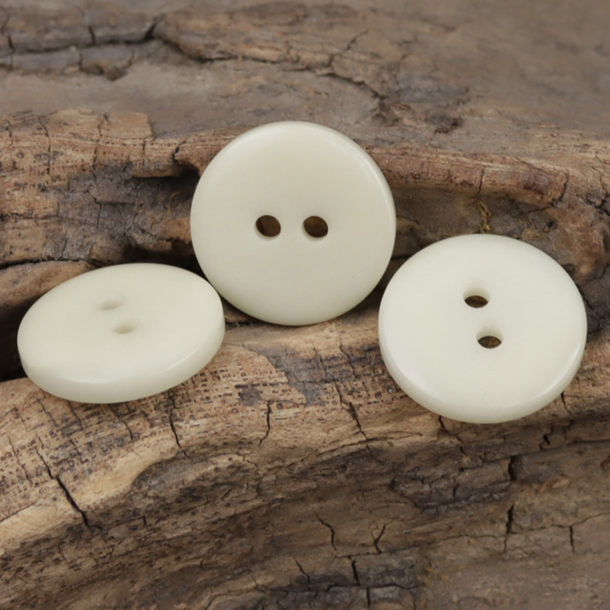 15mm Wide-Edged Simple Beige Two-Hole Natural Fruit Tagut Nut Buttons 10pcs