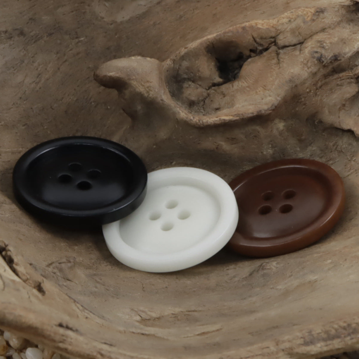 White Four-Hole Fruit Tagut Nut Buttons for Hoodies 10pcs
