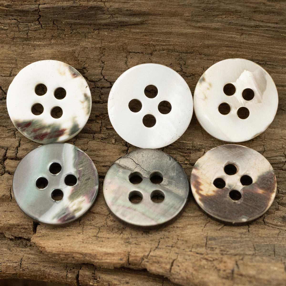 Tarot Shell Buttons Round 11.5mm 10 Pack