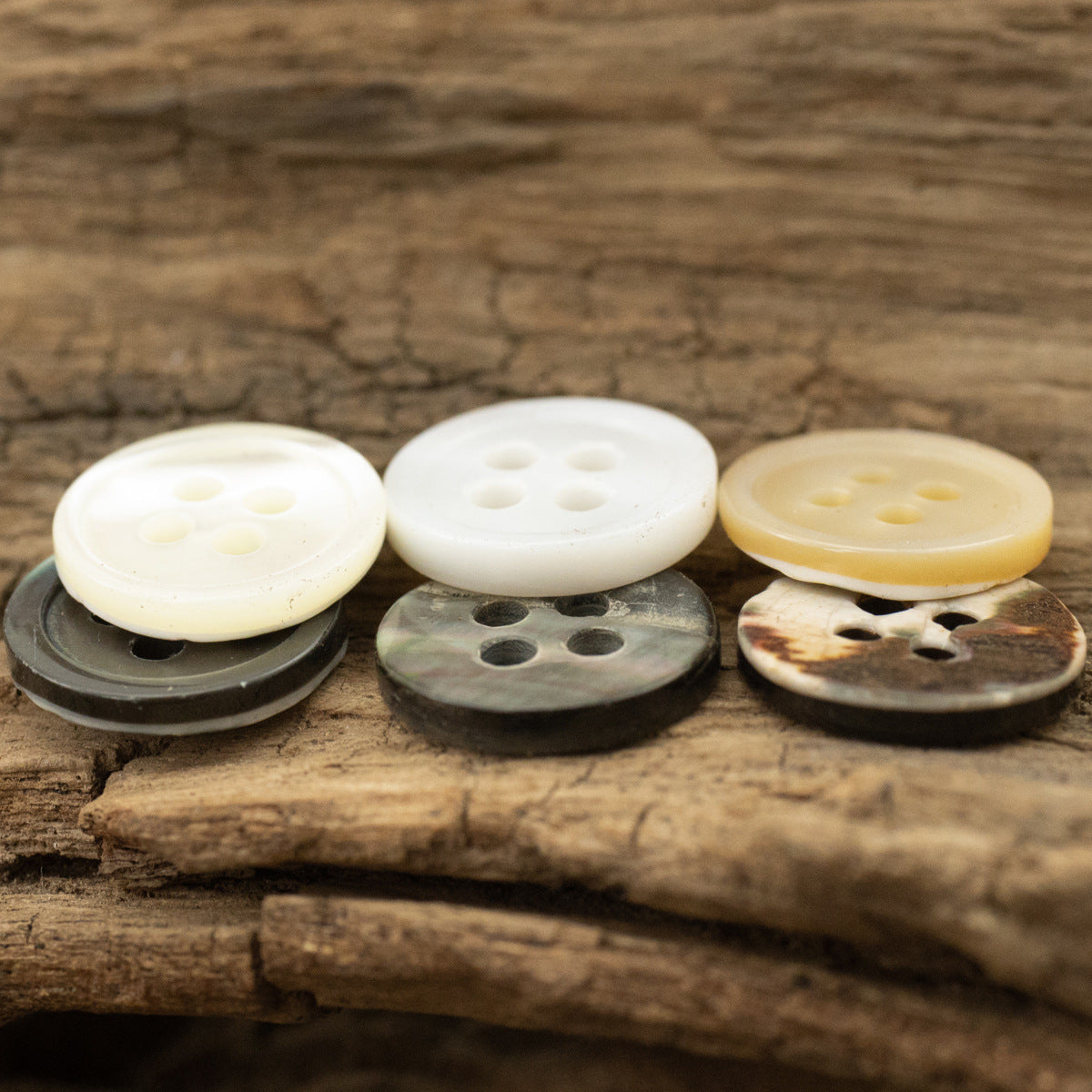 Tarot Shell Buttons Round 11.5mm 10 Pack