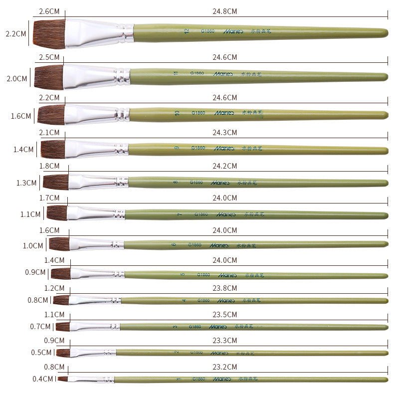 Maries Flat Bristle Watercolor Paint Brush Set | Sizes 1–12 | 12 Brushes