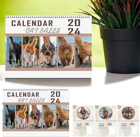 Katzenballkalender 2024