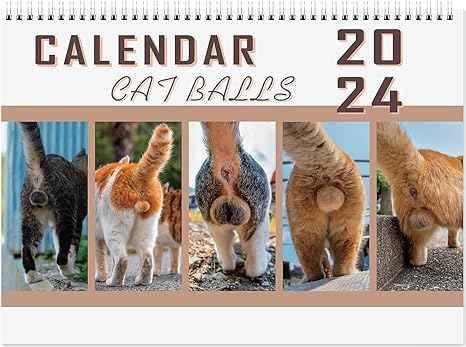 Katzenballkalender 2024