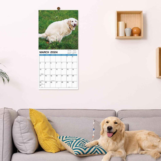Wandkalender 2024 „Capping Dogs“.