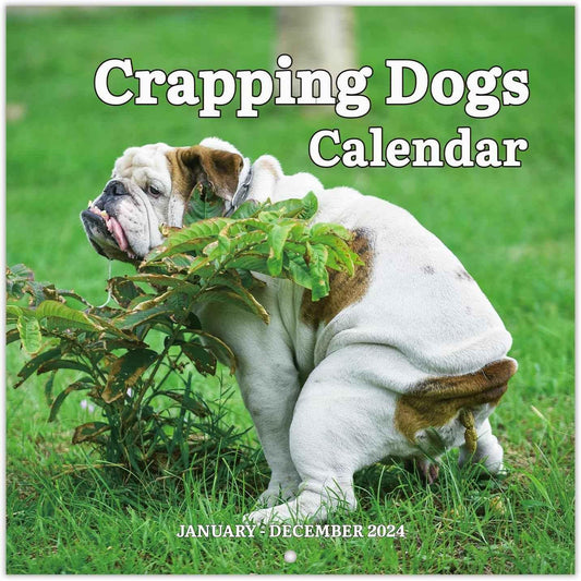 Wandkalender 2024 „Capping Dogs“.