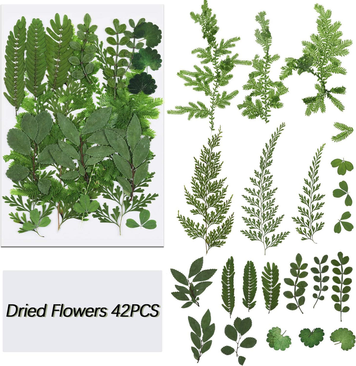 42Pcs Dried Pressed Leaves Dried Flowers for Art Craft DIY